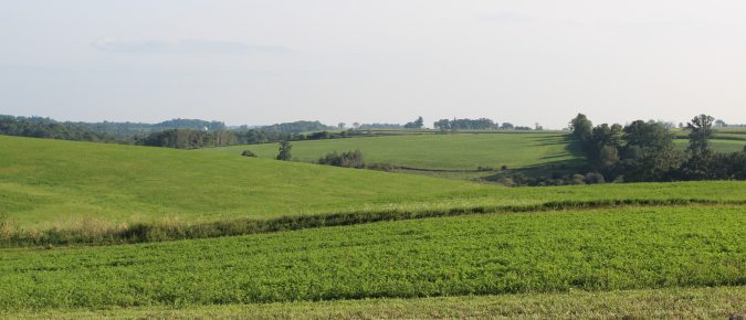 Is sulfur needed for alfalfa in Wisconsin?