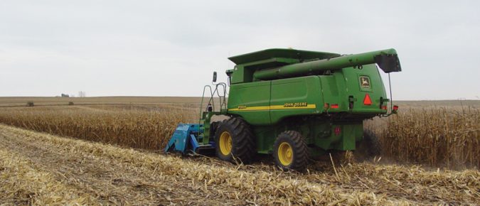 Cover crop options for corn grain in Wisconsin