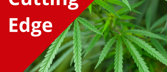 The Cutting Edge Podcast Episode 1: Industrial Hemp