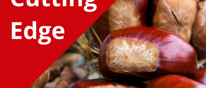 The Cutting Edge Podcast Episode 13: Chestnuts Part 3-Processing and Marketing
