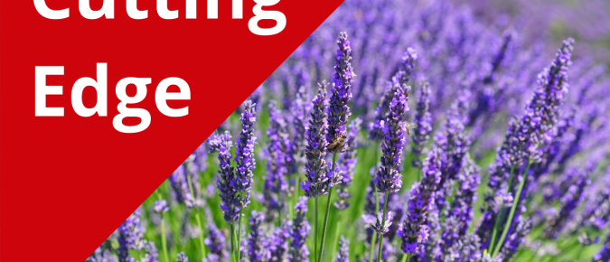 The Cutting Edge Podcast Episode 15: Lavender