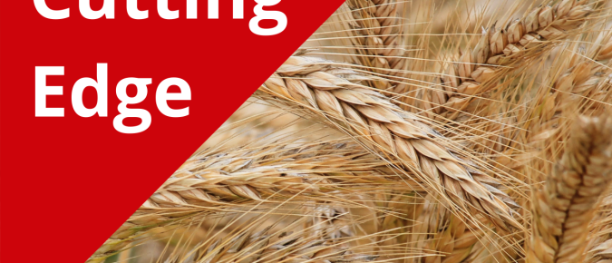 The Cutting Edge Podcast Episode 5: Malting Barley