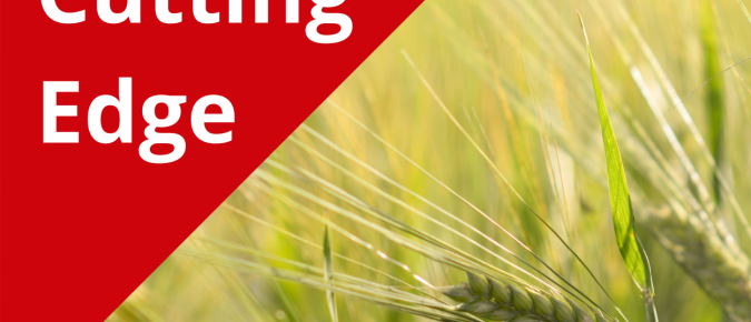 The Cutting Edge Podcast Episode 7: Naked (hulless) Barley