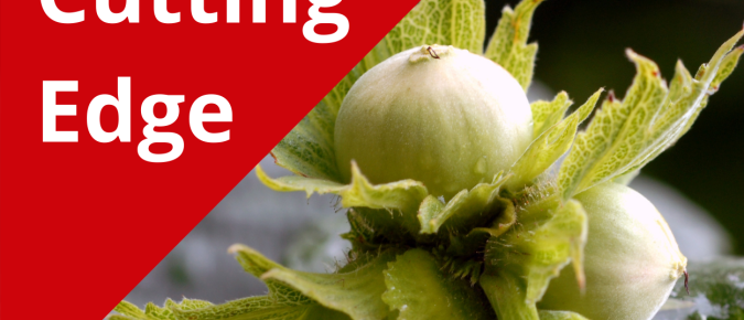 The Cutting Edge: Field Notes: Hazelnuts – July 27, 2020