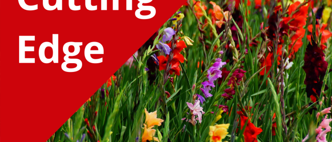 The Cutting Edge Podcast Episode 16: Cut Flowers