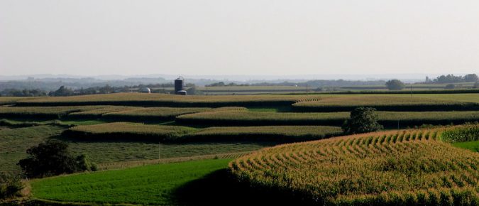 Grain Production and Management