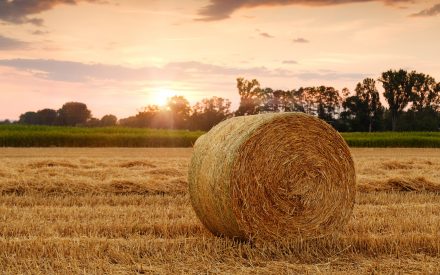 Hay Market Demand and Price Report for the Upper Midwest -for February 14, 2023