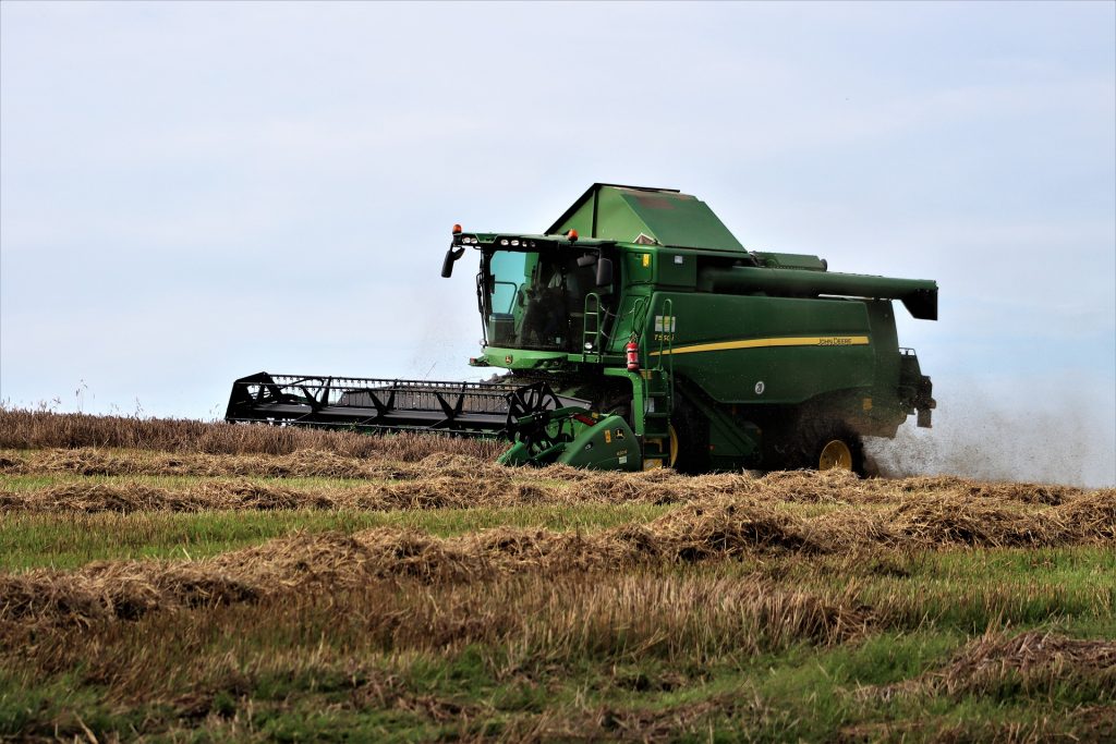 Harvester driving through wheat field