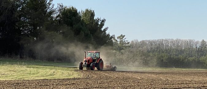 Late Summer Planting Legumes to Produce Nitrogen Credits for Next Year