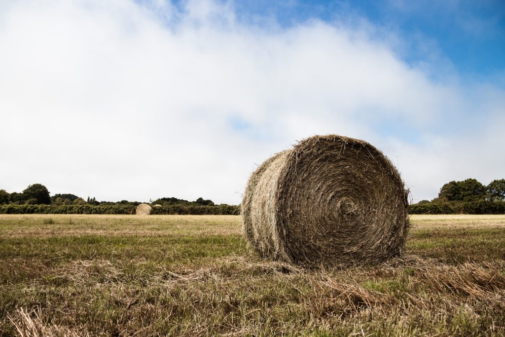 hay bale