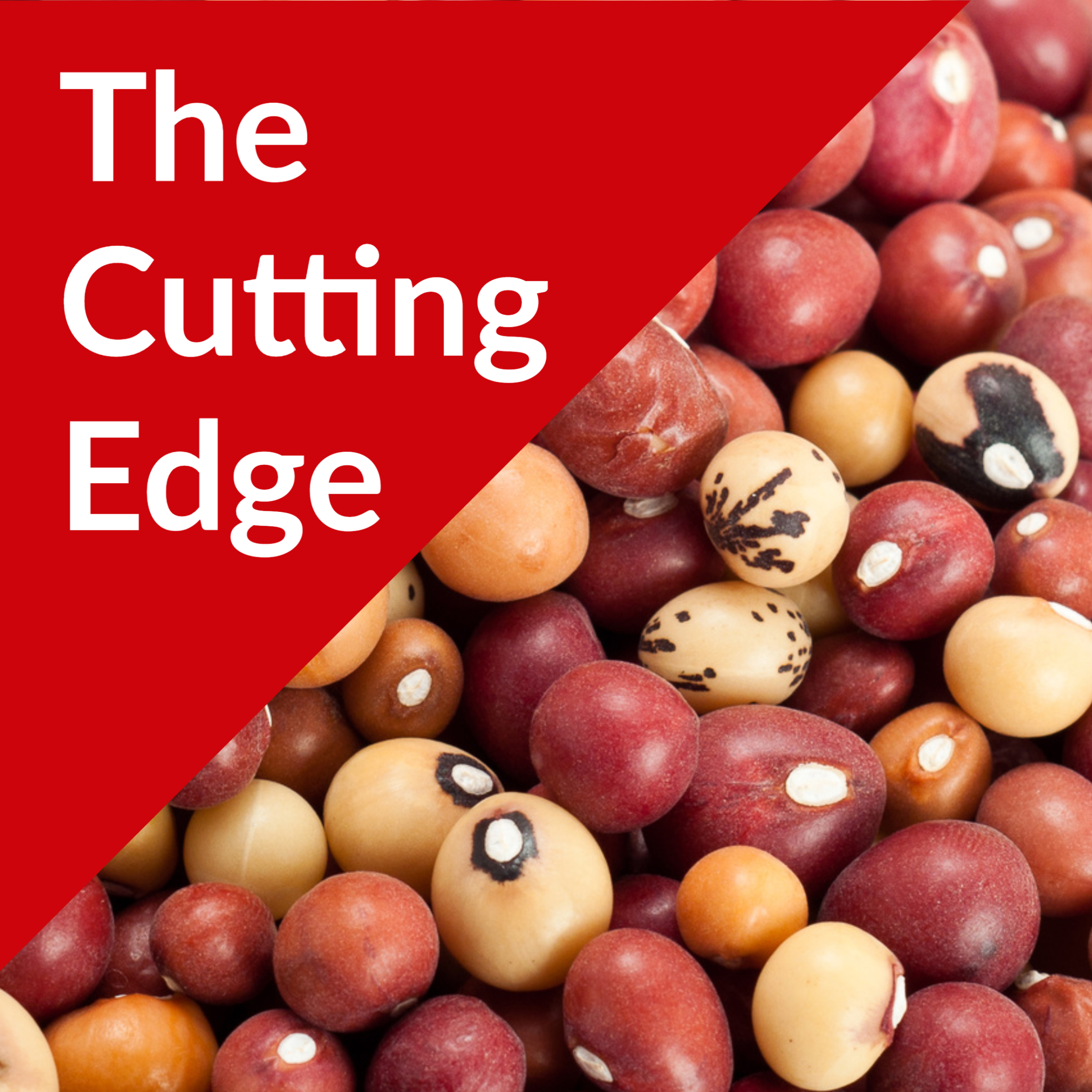 The Cutting Edge Podcast Episode #33: Bambara Groundnut – Crops and Soils