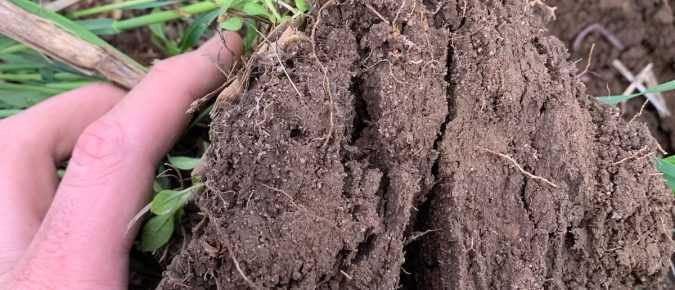 Field Notes Episode 4: Evaluating Soil Health