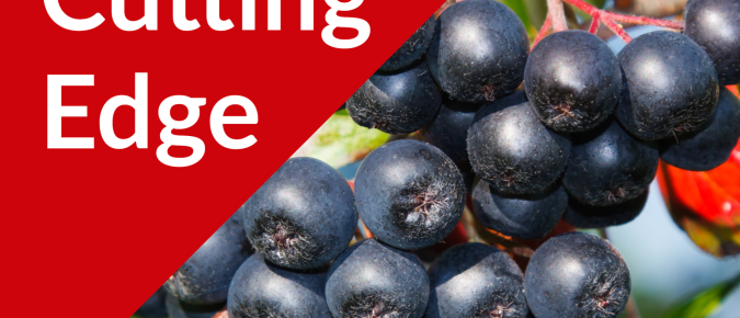 The Cutting Edge Podcast Episode #36: Aronia Berry Markets