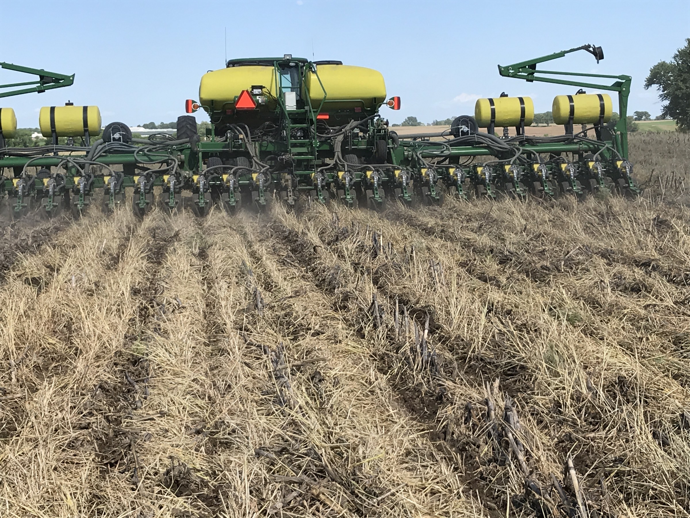 Planting Corn into Cover Crop