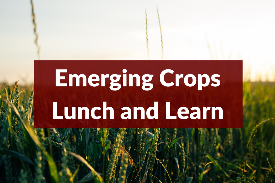 Emerging Crops Lunch and Learn