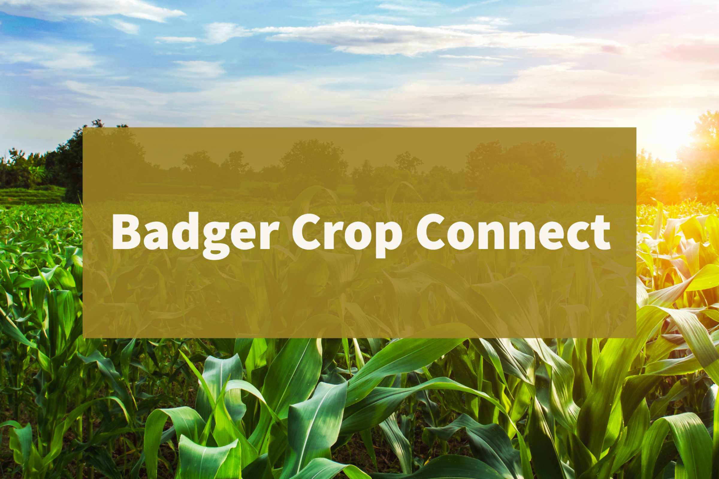 Badger Crop Connect