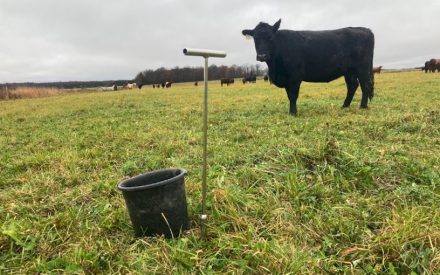 Soil testing in a pasture