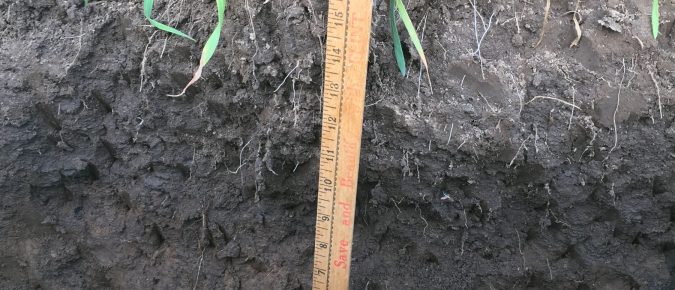 How much do soil health practices increase soil carbon?