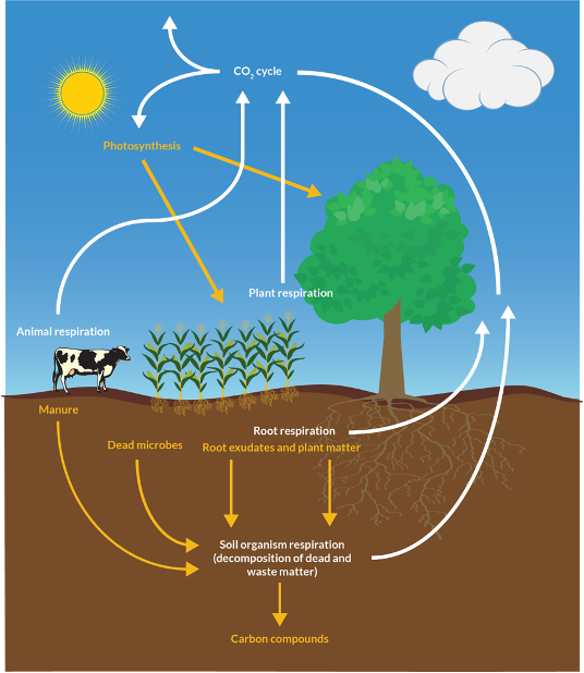 How to Install the Home Composter - The CarbonCycle Company