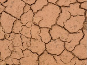 The Important Role Of Soil Texture On Water – Crops And Soils