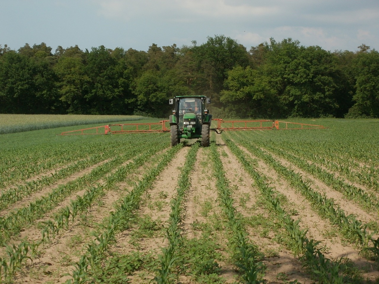 Cornflash Navigating flash drought in corn & enhancing crop resilience: Cover ...