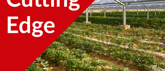 The Cutting Edge Podcast Episode #46: Agrivoltaics Part II, UW Kegonsa Solar Project