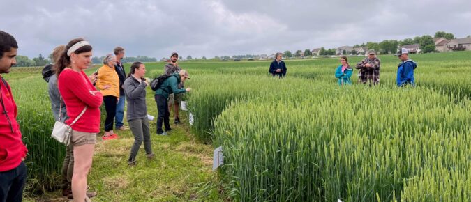 ▶ Organic Weed Management: Spring Considerations