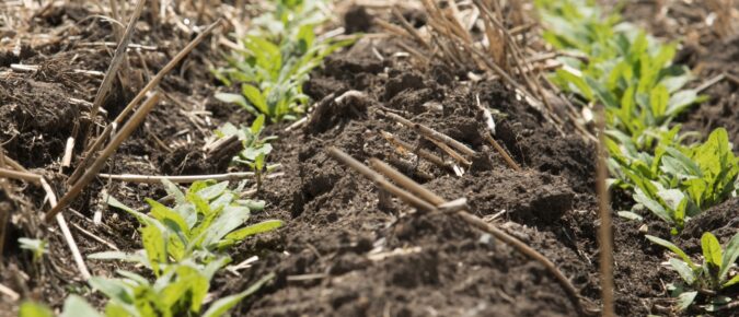 ▶ Watch: Soil Moisture and Planting