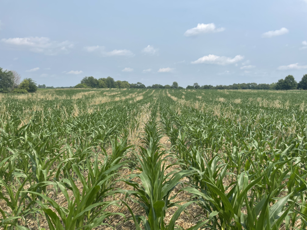 ▶ April 2025 Farm Economy Update