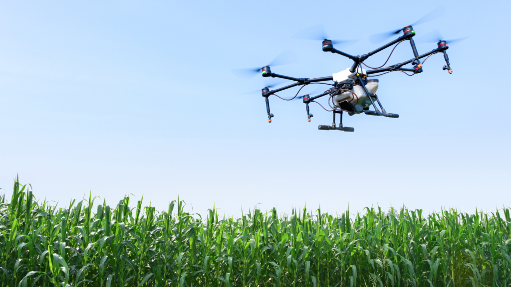 Farming on a Tight Budget: Balancing Innovation and Sustainability