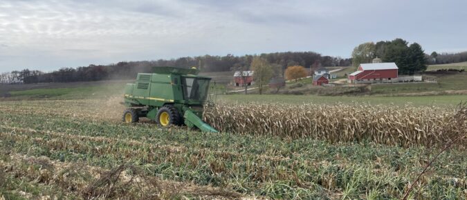 Field Notes Episode 15: Grazing Cover Crops Interseeded into 60″ Row Corn