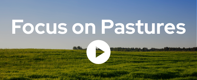 ▶ Watch: Focus on Pastures