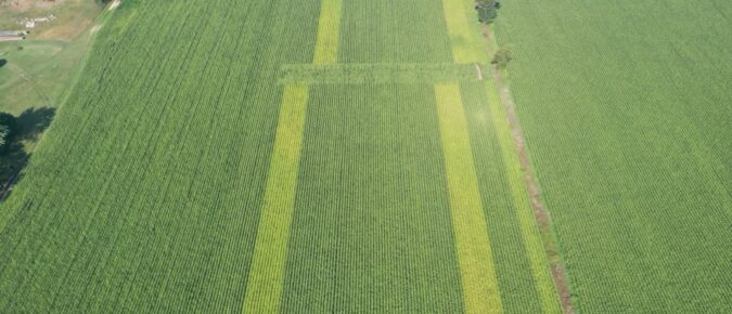 Biological Nitrogen Fixation in Corn: Wisconsin Trial Results