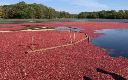 Wisconsin Cranberry School Registration Open and Agenda Announced