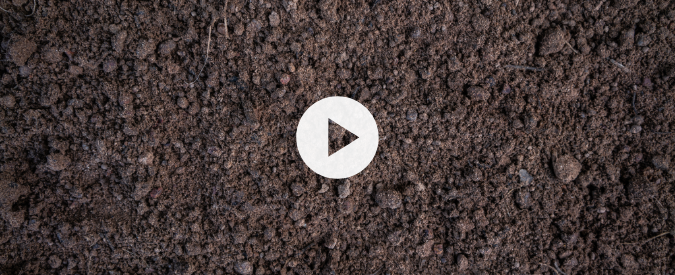 ▶ Watch: Planting Green – soil health