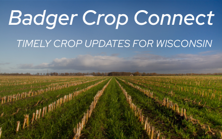 Badger Crop Connect Begins April 10