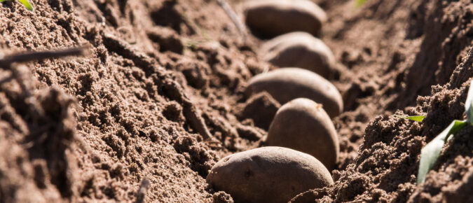 ▶From Soil Sensors to Nitrogen Decisions: New Technologies for Wisconsin Agriculture