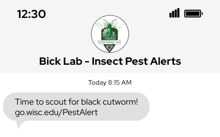 Extension and Bick Lab Begin Regional Insect Pest Alerts