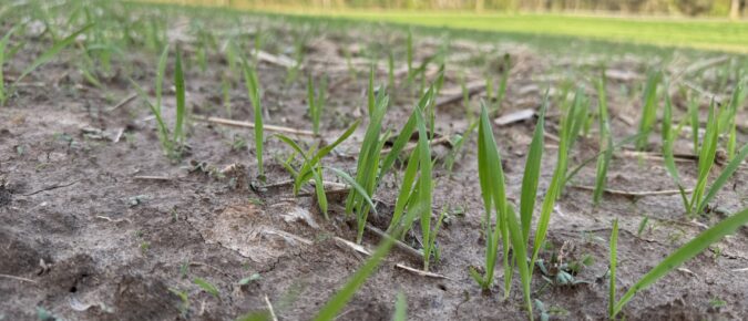 ▶ Spring 2026 Ag Weather Outlook