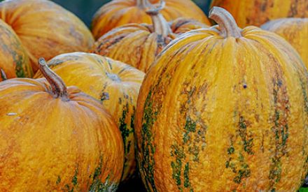 October 9th, 2025 Weather Outlook