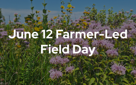 Upcoming Event: Farmer-led field day for improving farm resilience with pollinators
