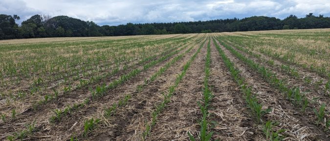 ▶ April 24 Wisconsin Ag Weather Update