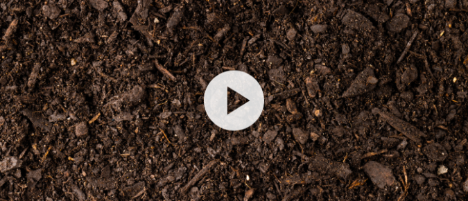 ▶ Watch: Soil fertility research at UW–Madison