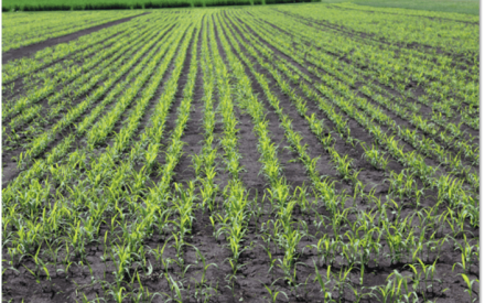▶ May 22 Ag Weather Outlook for Wisconsin