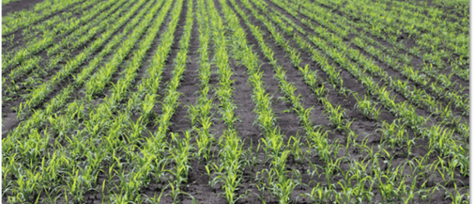 ▶ May 22 Ag Weather Outlook for Wisconsin
