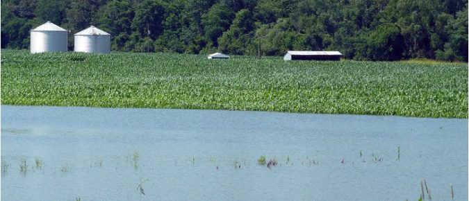 What happens to your crops in flooded fields?