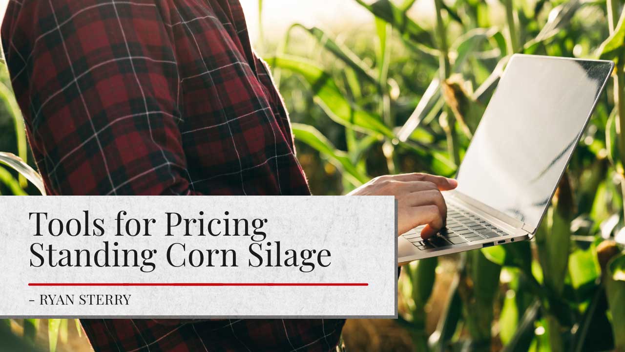 A person in a red plaid shirt stands in a cornfield holding an open laptop. Overlaid on the image is a semi-transparent white banner with text that reads 'Tools for Pricing Standing Corn Silage - Ryan Sterry.'