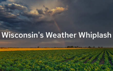▶Watch: Wisconsin’s farms facing weather whiplash
