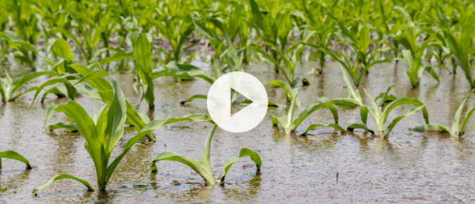 ▶ Watch: Wisconsin Ag Climate Outlook July 10