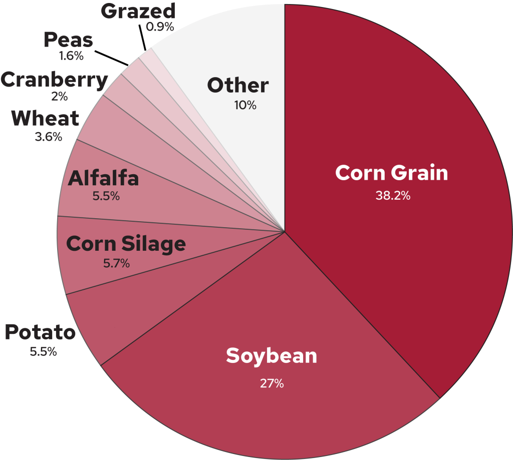 The pie chart displays the distribution of different crops. The largest section represents Corn Grain at 38.2%, followed by Soybean at 27%. Other significant sections include Corn Silage at 5.7%, Alfalfa at 5.5%, Potato at 5.5%, Wheat at 3.6%, Cranberry at 2%, Peas at 1.6%, and Grazed areas accounting for only 0.9%. A small section labeled ‘Other’ comprises 10% of the chart.